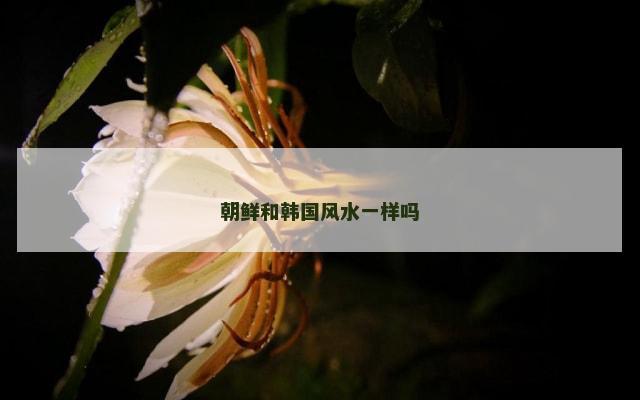 朝鲜和韩国风水一样吗