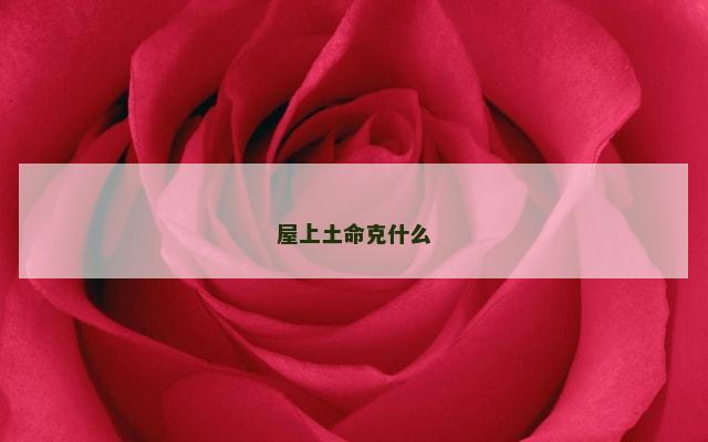 屋上土命克什么