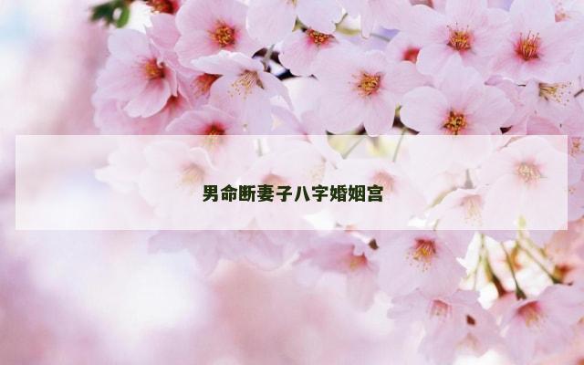 男命断妻子八字婚姻宫