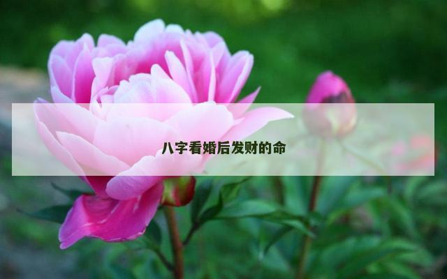 八字看婚后发财的命