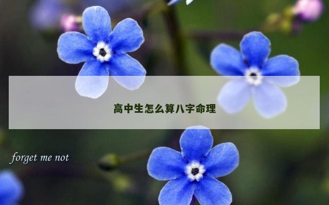高中生怎么算八字命理