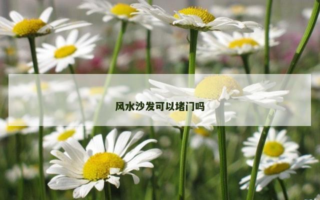 风水沙发可以堵门吗