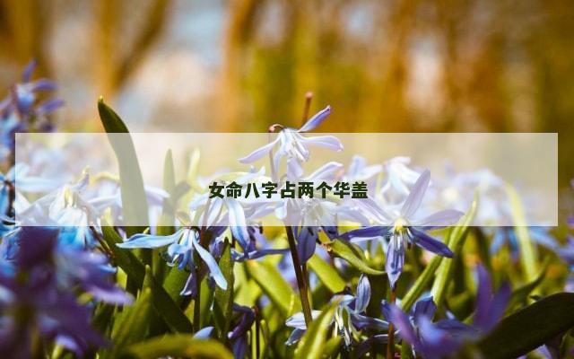 女命八字占两个华盖