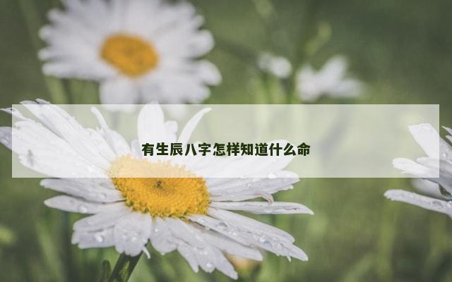 有生辰八字怎样知道什么命