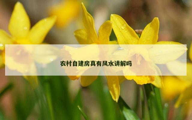 农村自建房真有风水讲解吗