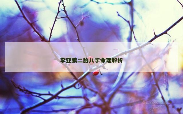 李亚鹏二胎八字命理解析