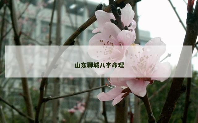 山东聊城八字命理