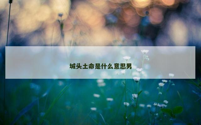 城头土命是什么意思男