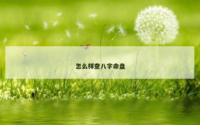怎么样查八字命盘