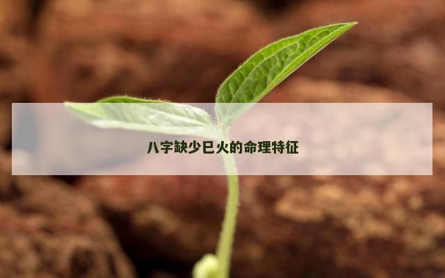 八字缺少巳火的命理特征