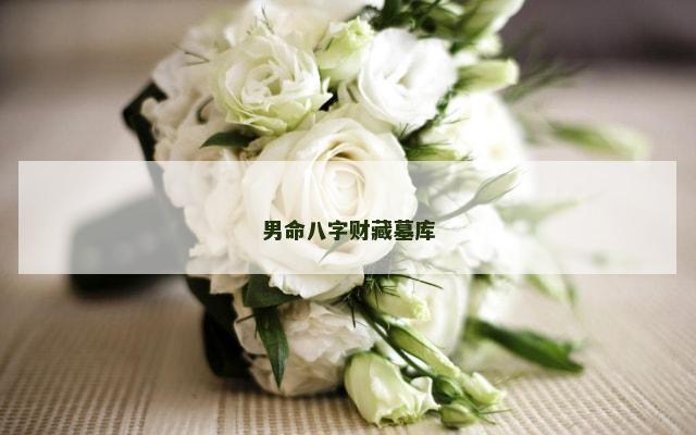 男命八字财藏墓库