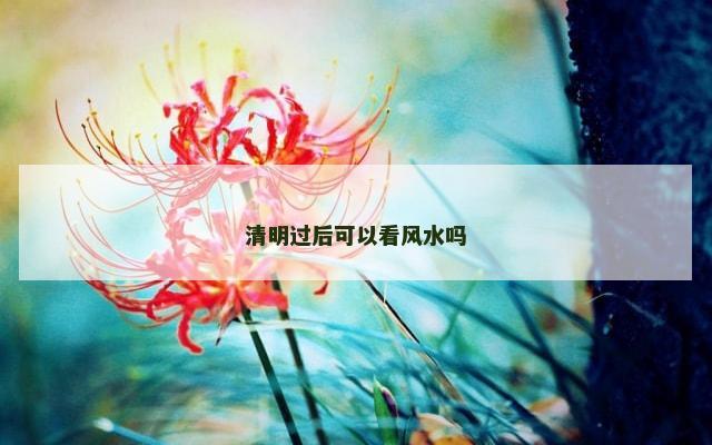 清明过后可以看风水吗