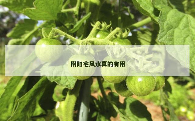 阴阳宅风水真的有用