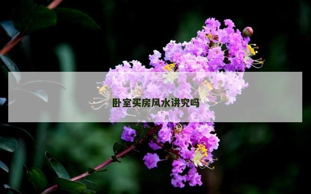 卧室买房风水讲究吗