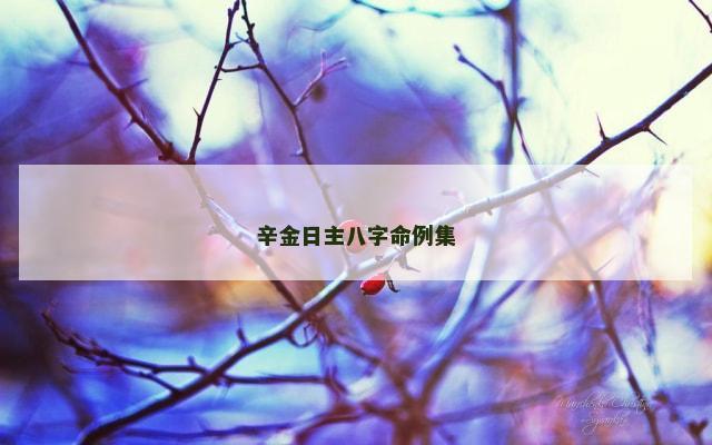辛金日主八字命例集