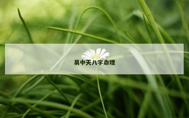 易中天八字命理
