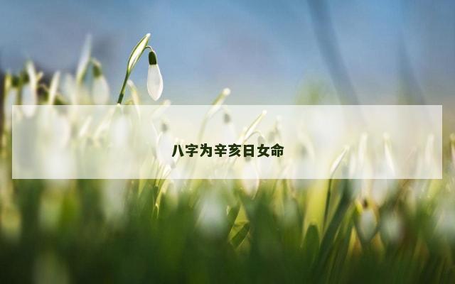 八字为辛亥日女命