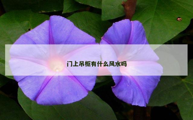 门上吊柜有什么风水吗