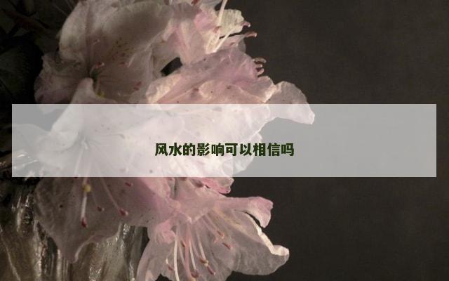 风水的影响可以相信吗