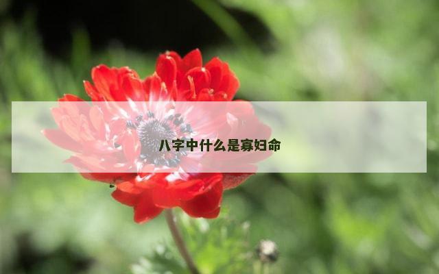 八字中什么是寡妇命