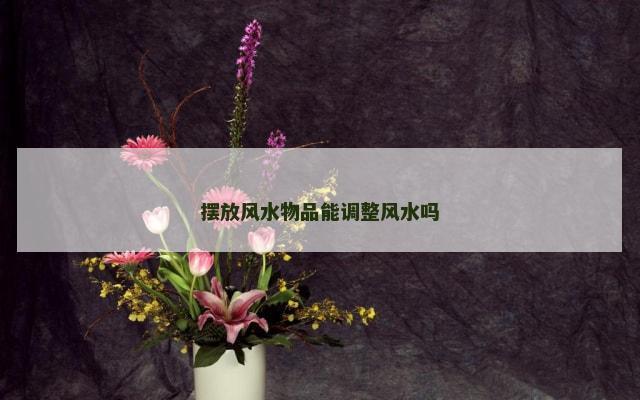 摆放风水物品能调整风水吗