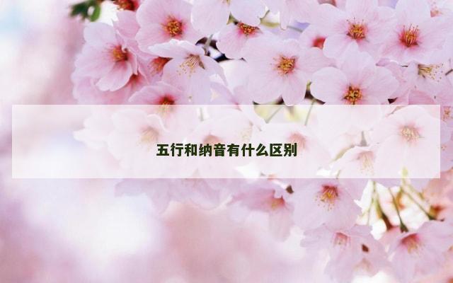 五行和纳音有什么区别