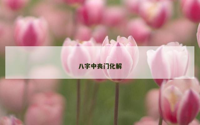 八字中丧门化解
