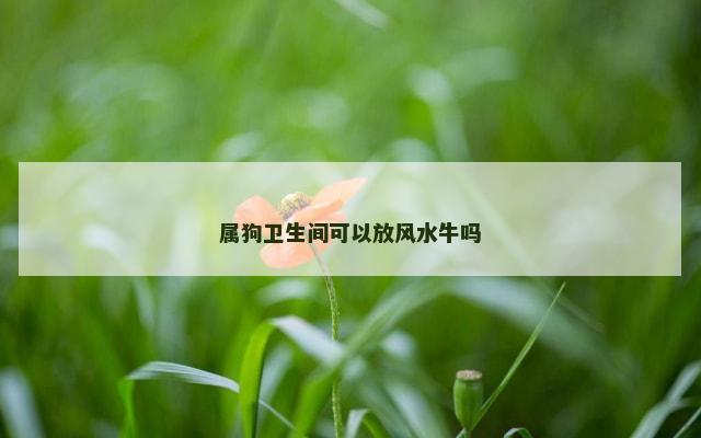 属狗卫生间可以放风水牛吗