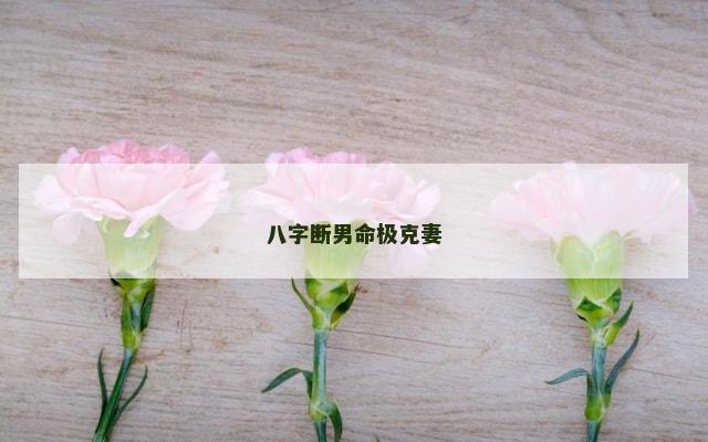 八字断男命极克妻
