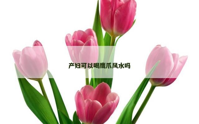 产妇可以喝鹰爪风水吗