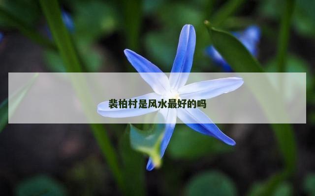 裴柏村是风水最好的吗