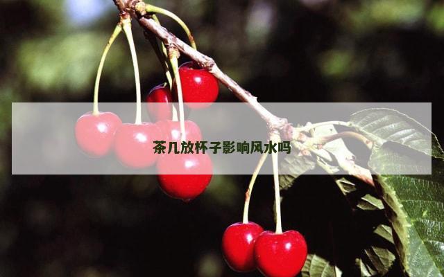 茶几放杯子影响风水吗