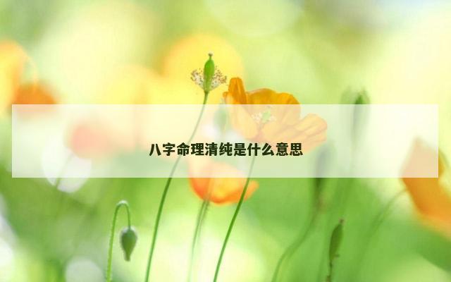 八字命理清纯是什么意思