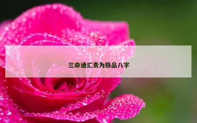 三命通汇贵为极品八字