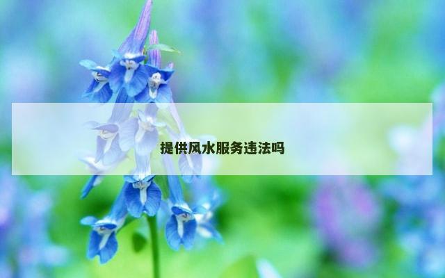 提供风水服务违法吗