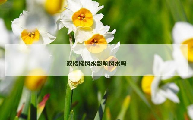 双楼梯风水影响风水吗