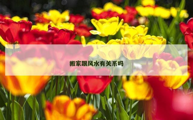 搬家跟风水有关系吗
