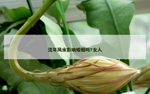 流年风水影响婚姻吗?女人