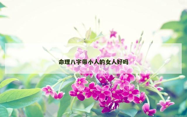 命理八字带小人的女人好吗
