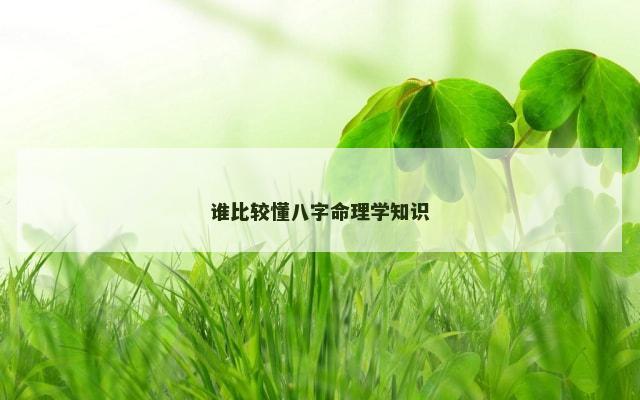 谁比较懂八字命理学知识