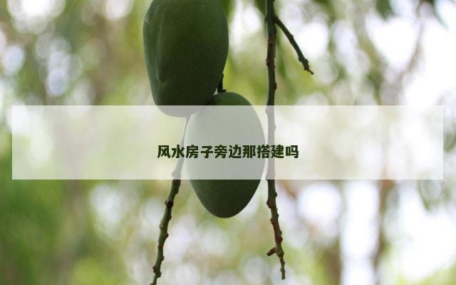 风水房子旁边那搭建吗