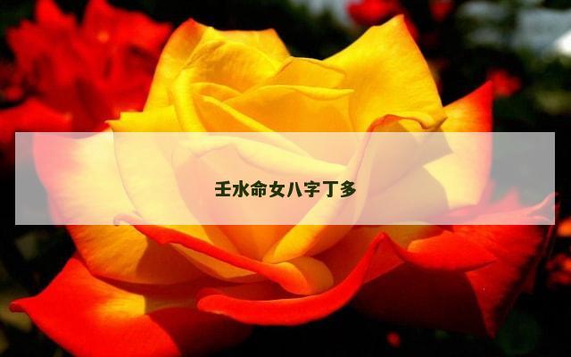 壬水命女八字丁多