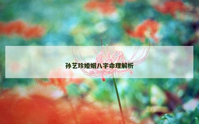 孙艺珍婚姻八字命理解析