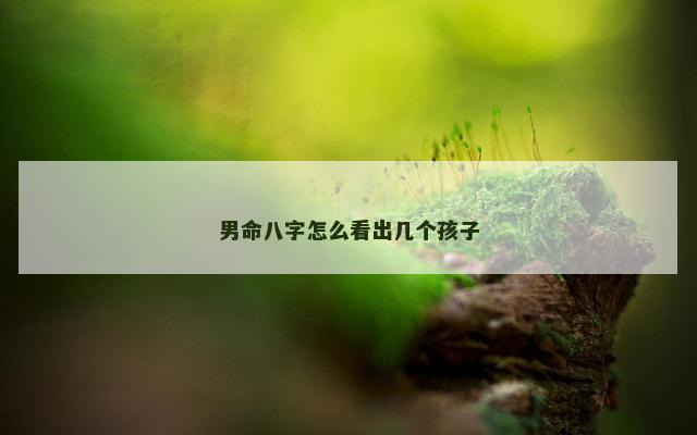 男命八字怎么看出几个孩子