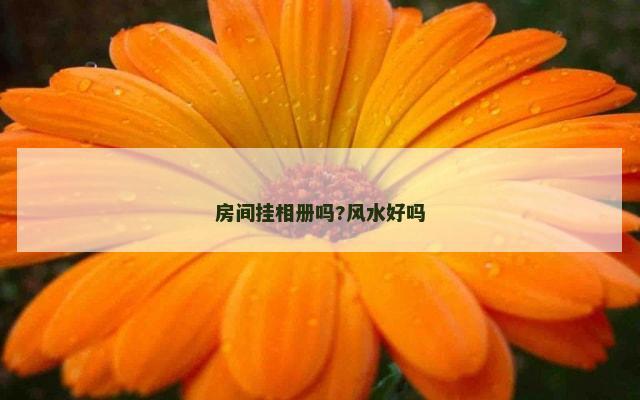 房间挂相册吗?风水好吗