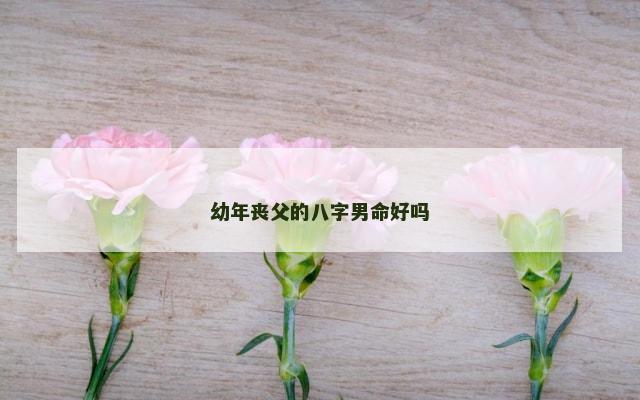幼年丧父的八字男命好吗