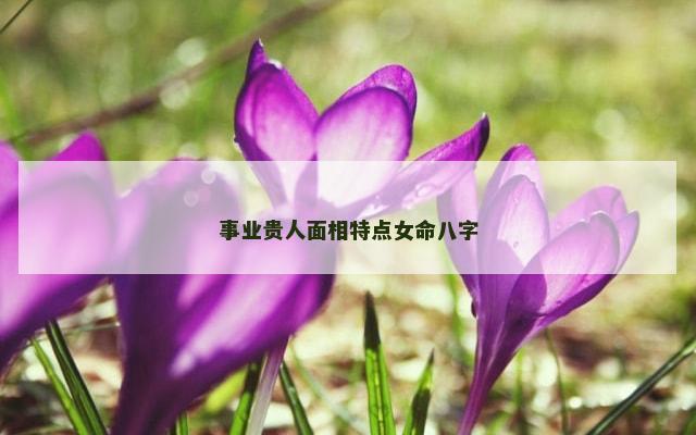 事业贵人面相特点女命八字