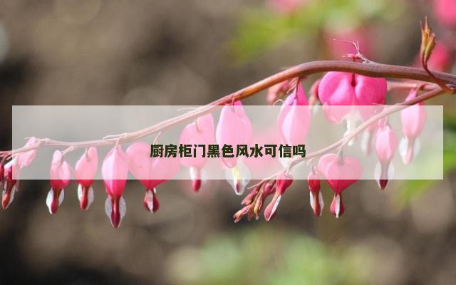 厨房柜门黑色风水可信吗