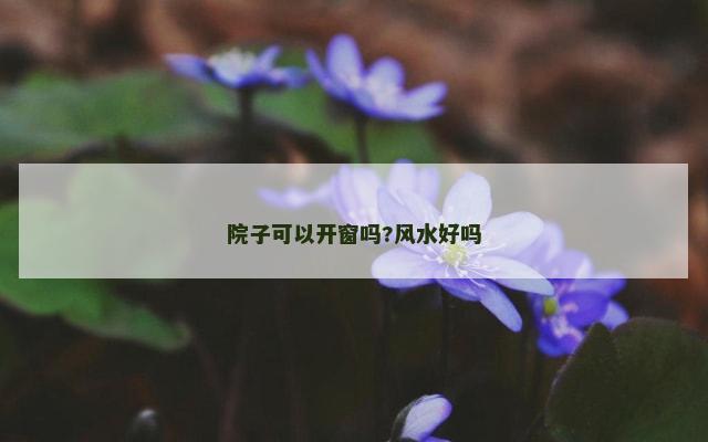 院子可以开窗吗?风水好吗