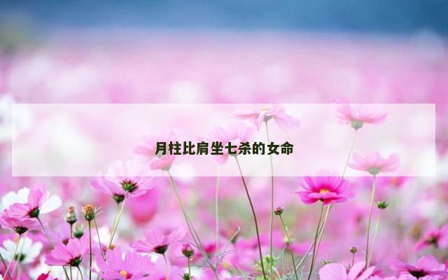 月柱比肩坐七杀的女命